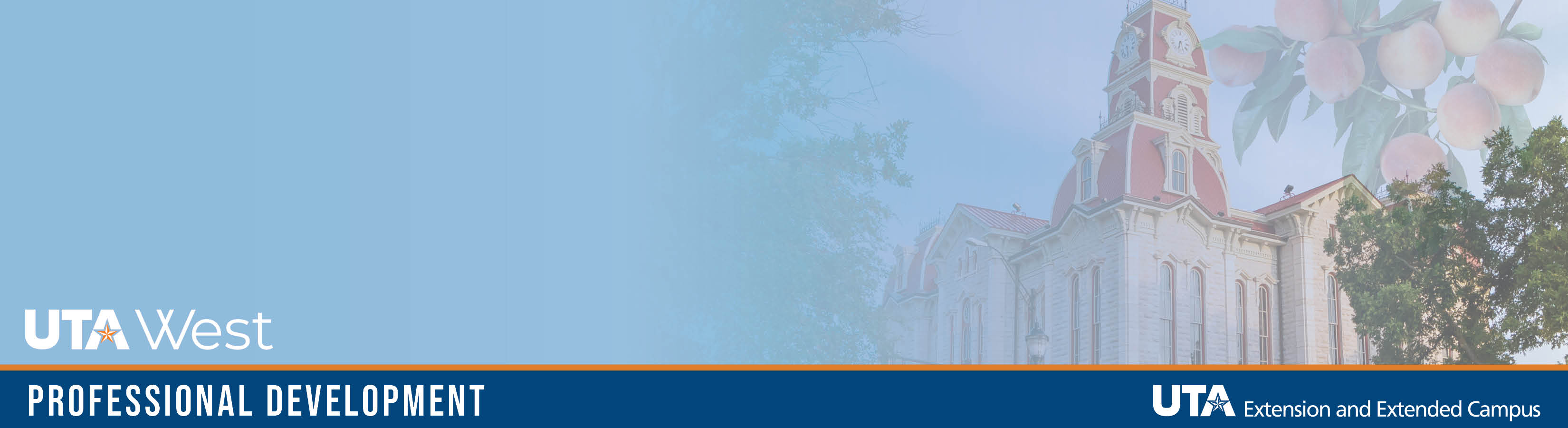 Parker County Professional Development banner